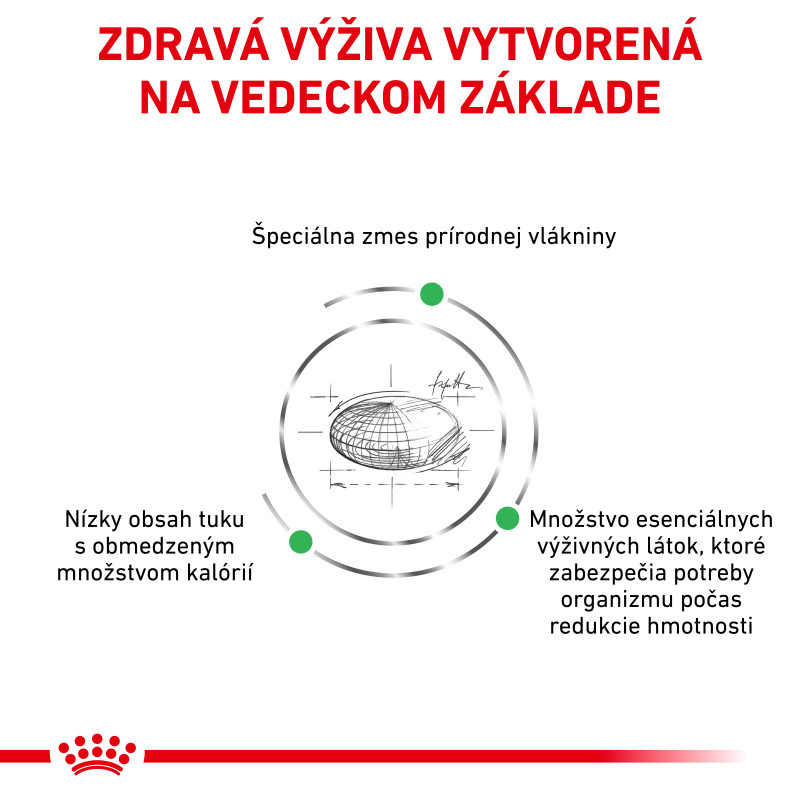 veterinary-health-nutrition-cat-satiety-15